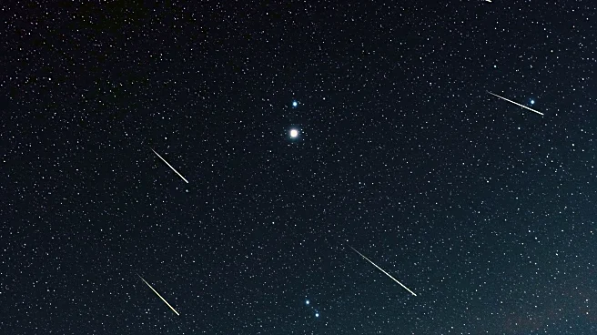 NASA Highlights Perseids Meteor Shower Peak with Up to 100 Meteors Per Hour