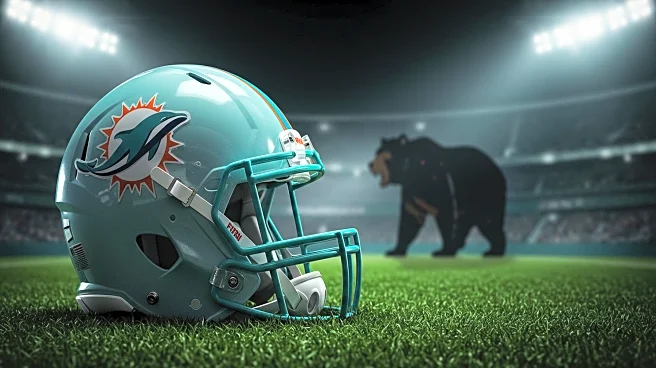 Miami Dolphins' Quinn Ewers Struggles in NFL Preseason Debut Against Bears