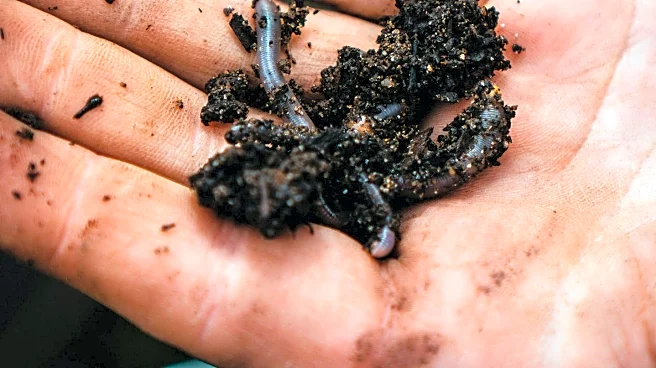 Study Finds Biochar from Human Waste Could Address Global Fertilizer Shortages