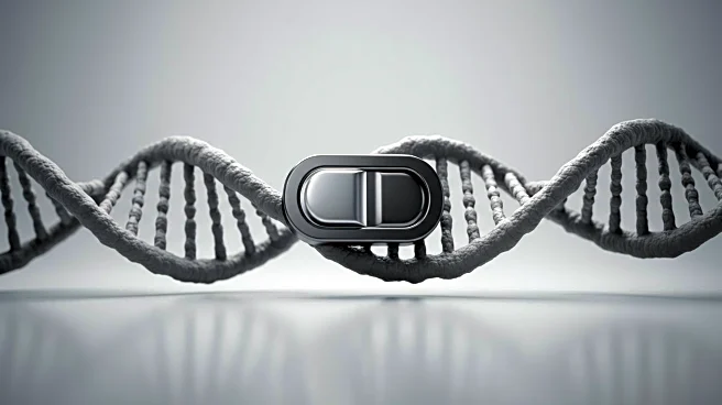 Toggle Genes Identified in Chronic Lymphocytic Leukemia Proliferation