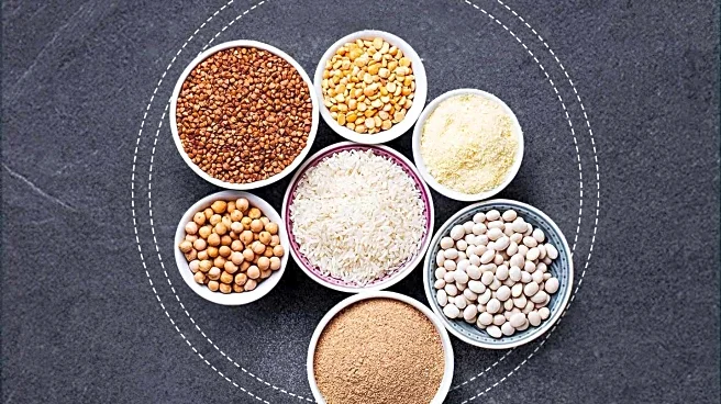 Health Experts Highlight Differences Between Minimally-Processed and Ultra-Processed Foods