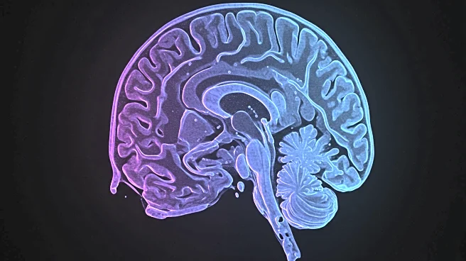 AI-driven Study Enhances Alzheimer's Disease Biomarker Assessment