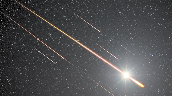 Perseid Meteor Shower Set to Illuminate Night Sky Despite Bright Moon Conditions