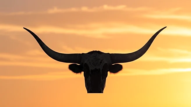 Texas Longhorns Achieve Historic No. 1 Ranking in AP Preseason Poll