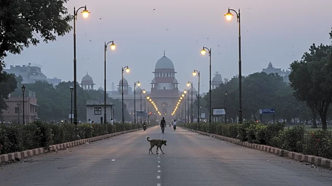 India's Supreme Court Mandates Stray Dogs Relocation to Shelters in Delhi