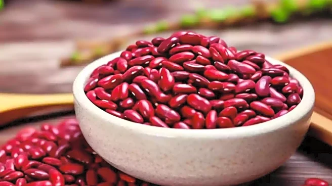 Dietitians Recommend Beans for Weight Loss and Gut Health