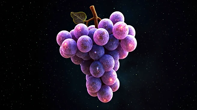 Astronomers Discover 'Cosmic Grapes' Galaxy, Revealing Early Universe Structures