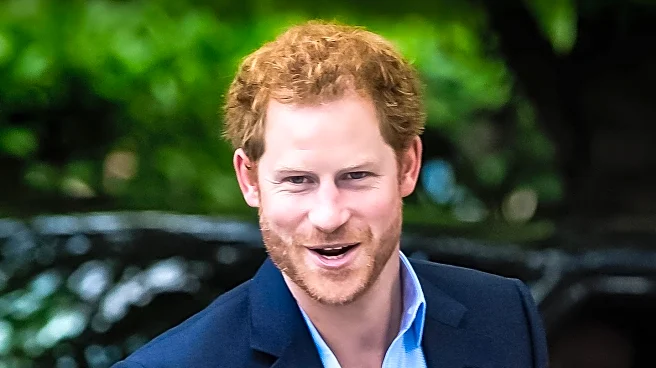 Prince Harry Considers New Charity Following Sentebale Departure