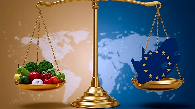 South Africa Urged to Revise EU Export Strategy Amid Declining Agri-food Trade