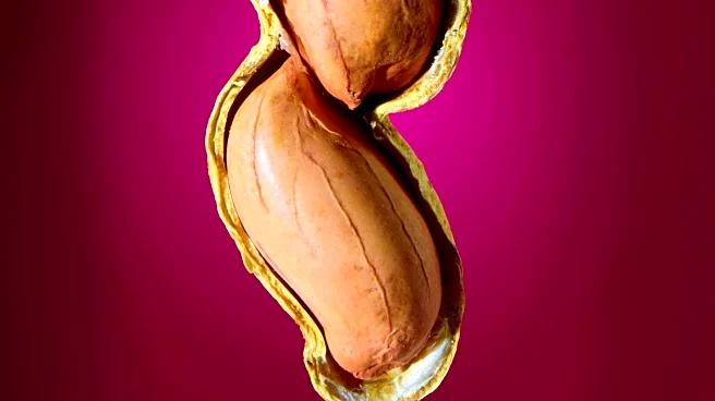 Study Finds Peanuts May Slow Cellular Ageing When Consumed Daily