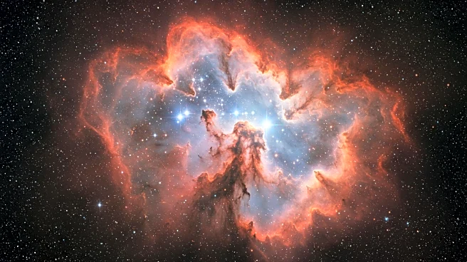 Hubble Observes Star Formation in Tarantula Nebula