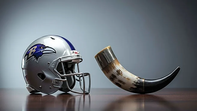 Buffalo Bills and Baltimore Ravens Emerge as Favorites for 2025 AFC No. 1 Seed