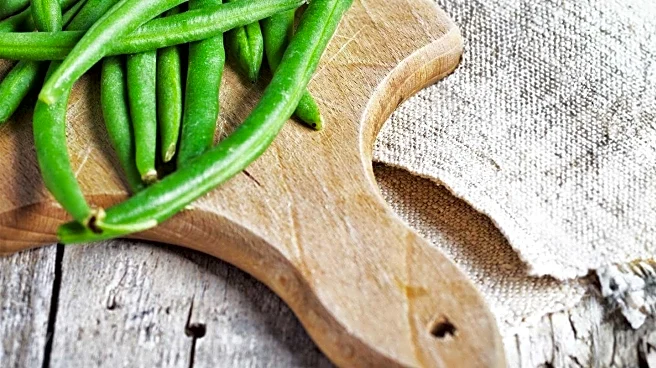 Dietitians Recommend Beans for Effective Weight Loss and Health Benefits