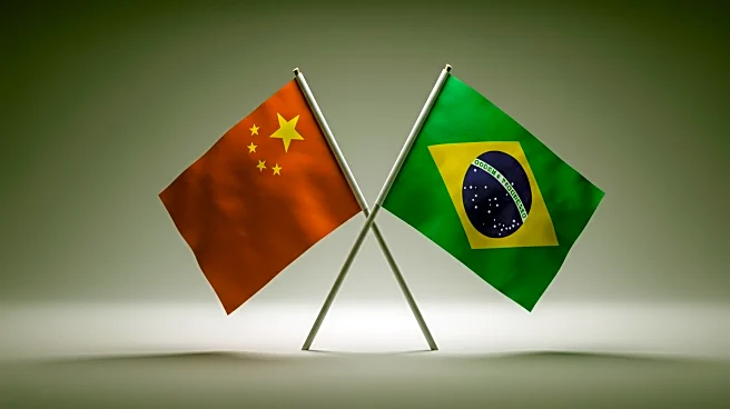 Xi Jinping Advocates China-Brazil Partnership as Model for Global South Self-Reliance