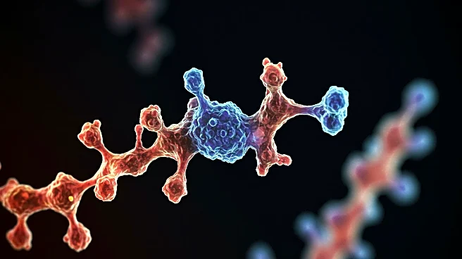 Research Identifies Diminished Immune Cell Adhesion in Hypoimmune ICAM-1 Knockout Stem Cells