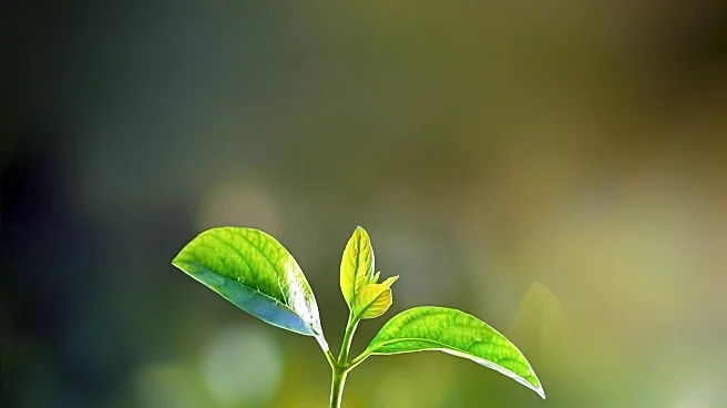 Health Expert Shares Tips for Investing in Personal Well-being Amid Negative Experiences