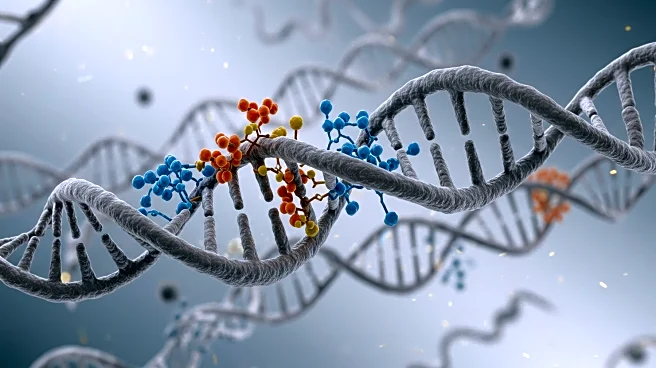 DNA Polymerase Displaces Single-Stranded DNA-Binding Proteins, Influencing Replication Efficiency