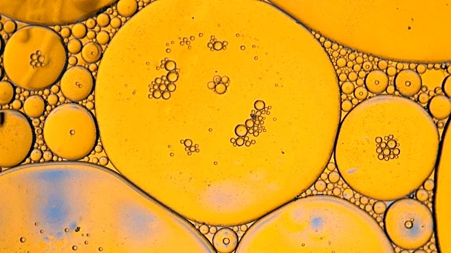 Study Reveals Kupffer Cells' Role in Promoting Liver Metastasis in Breast Cancer