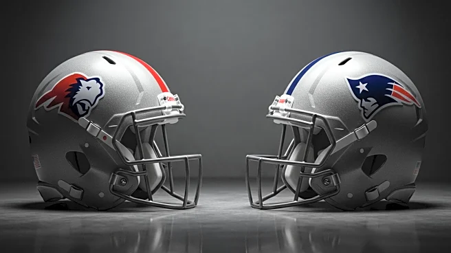 NFL Teams Face Key Challenges in 2025 Season Across AFC Divisions