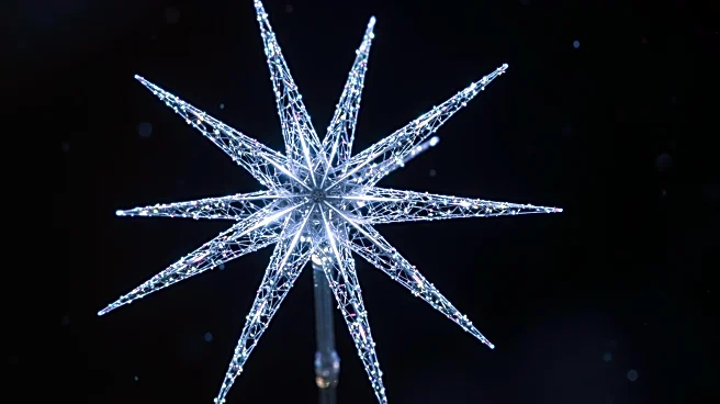 Brittle Star Genome Study Sheds Light on Regeneration