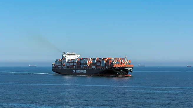 ZIM Integrated Shipping Services Addresses Market Rumors on Acquisition Proposal