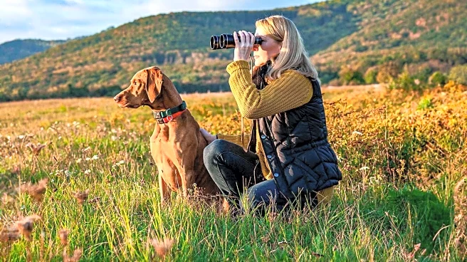 Canine Chronicle Explores Challenges and Adventures in Dog Field Work