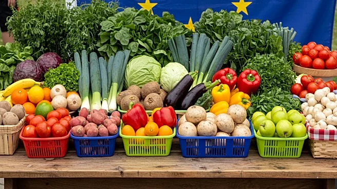 South Africa Urged to Rethink EU Export Strategy Amid Declining Agri-food Trade