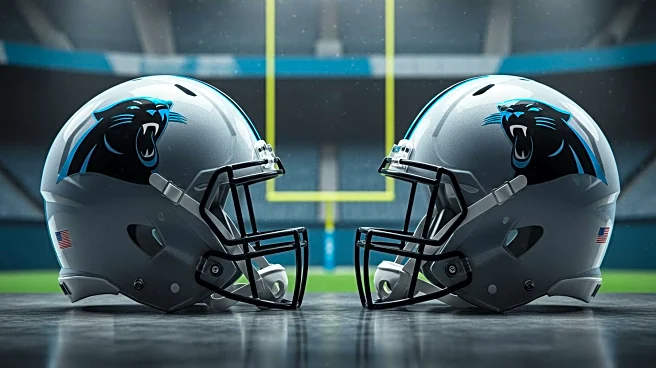 Carolina Panthers: Kicking Job Competition Intensifies Between Wright and Fitzgerald