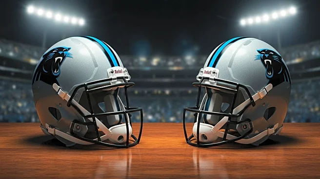 Carolina Panthers Roster Hopefuls Improve Stock After Preseason Game