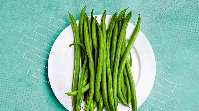 UCL and UCLA Researchers Find Minimally Processed Diet Leads to Greater Fat Loss