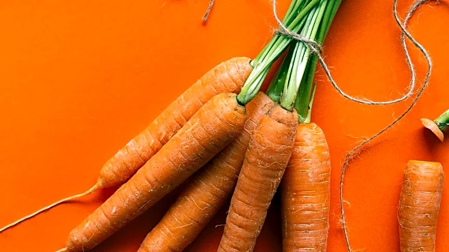 UC San Diego Research Suggests Beta-Carotene Supplements May Benefit Certain Illnesses