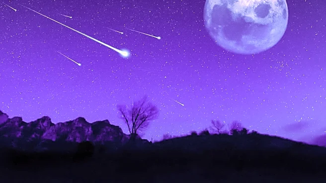 Perseid Meteor Shower Peaks Amid Bright Moonlight, Reducing Visibility