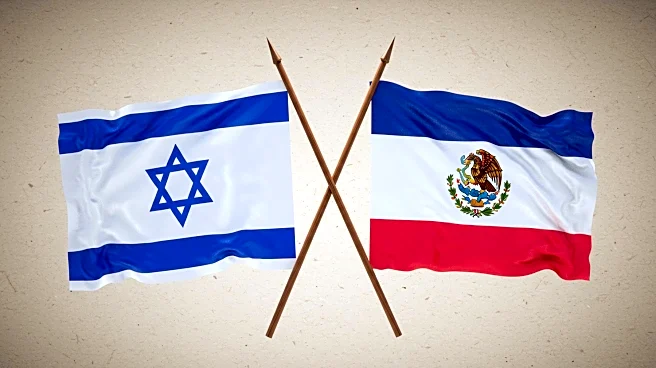 Argentine President Milei Initiates Program to Strengthen Israel-Latin America Relations