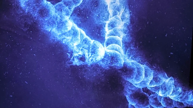 Enhancer RNAs Identified as Potential Biomarkers in Lung Adenocarcinoma