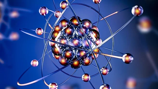 Research Highlights Role of Tumor-Draining Lymph Nodes in Cancer Therapy