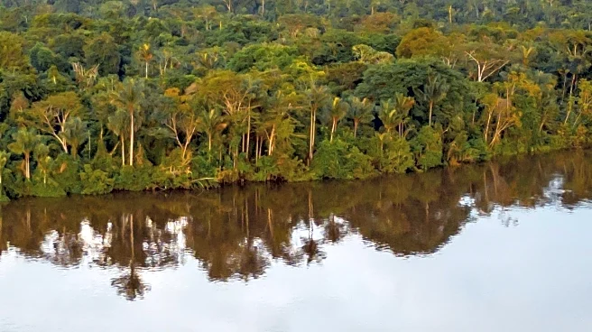 Pan-Amazonian Dataset Links Health and Landscape Changes