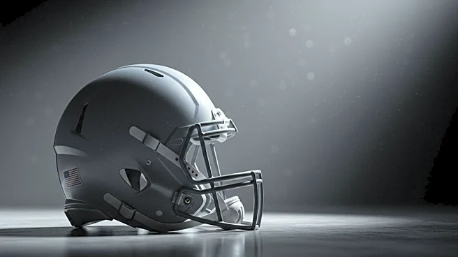 Detroit Lions Safety Morice Norris Recovers After Head Injury During Preseason Game