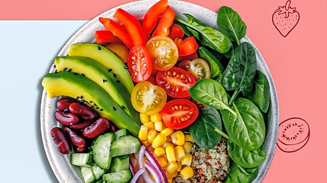 Doctors Advise Balanced Diet Over Protein Obsession