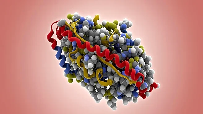 SSNA1 Protein's Role in Centriole Maintenance Revealed Through Structural Analysis
