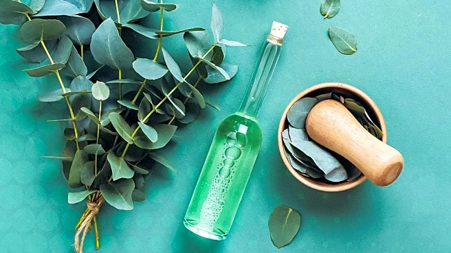 Japanese Skin-Care Products Blend Traditional Botanicals with Modern Technologies