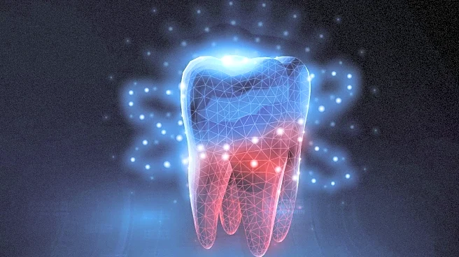 QuidelOrtho Launches Certified Analyzer Program to Expand Diagnostic Access in Underserved U.S. Communities