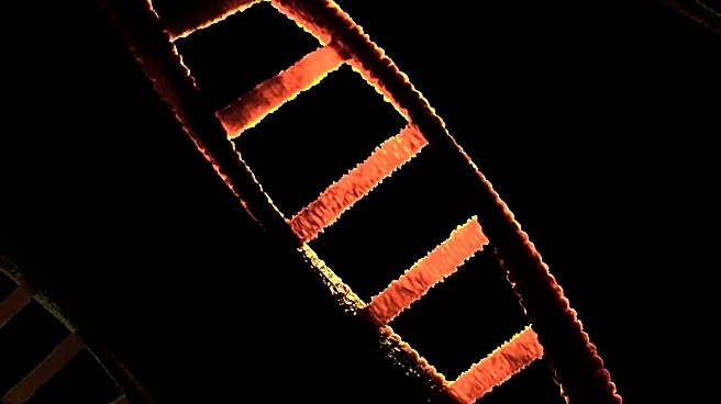 Study Models Genomic Architecture of Adiposity Across Lifespan