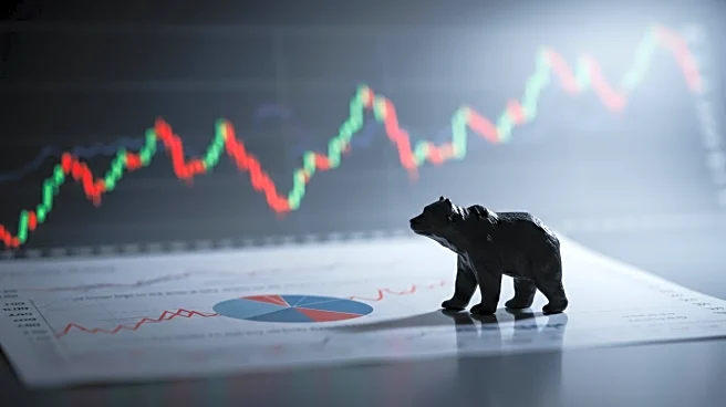 Financial Analyst Embraces 'Perma Bear' Label Amid Market Volatility