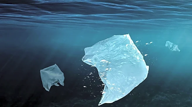 Ocean Protection Group Advocates for Plastics Treaty with Creative Campaigns