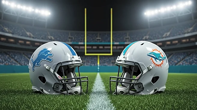 Detroit Lions and Miami Dolphins Begin Joint Practice Sessions