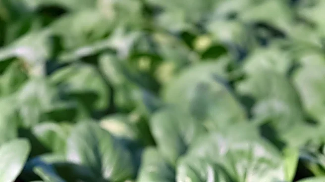 Farm Progress Show Hosts FFA Soils Judging Contest with Cash Prizes