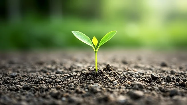 Barfresh Reports 11% Revenue Growth Amid Operational Challenges in Q2 2025