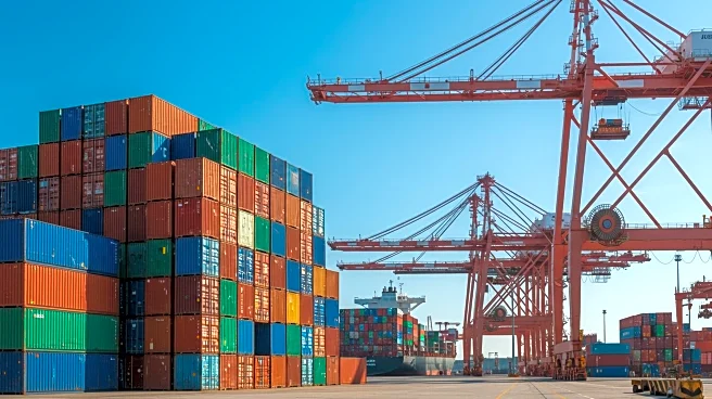 Port of Los Angeles Sets Record Amid Tariff-Induced Import Surge