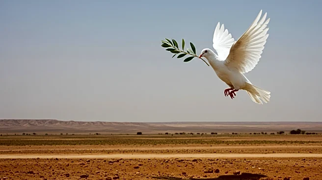 UNICEF and UN Agencies Highlight Humanitarian Crisis in Sudan's Darfur
