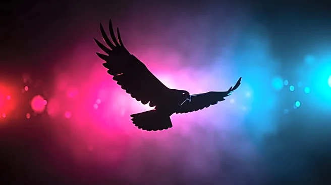 American Eagle Outfitters Campaign Fails to Boost Store Traffic Amid Controversy